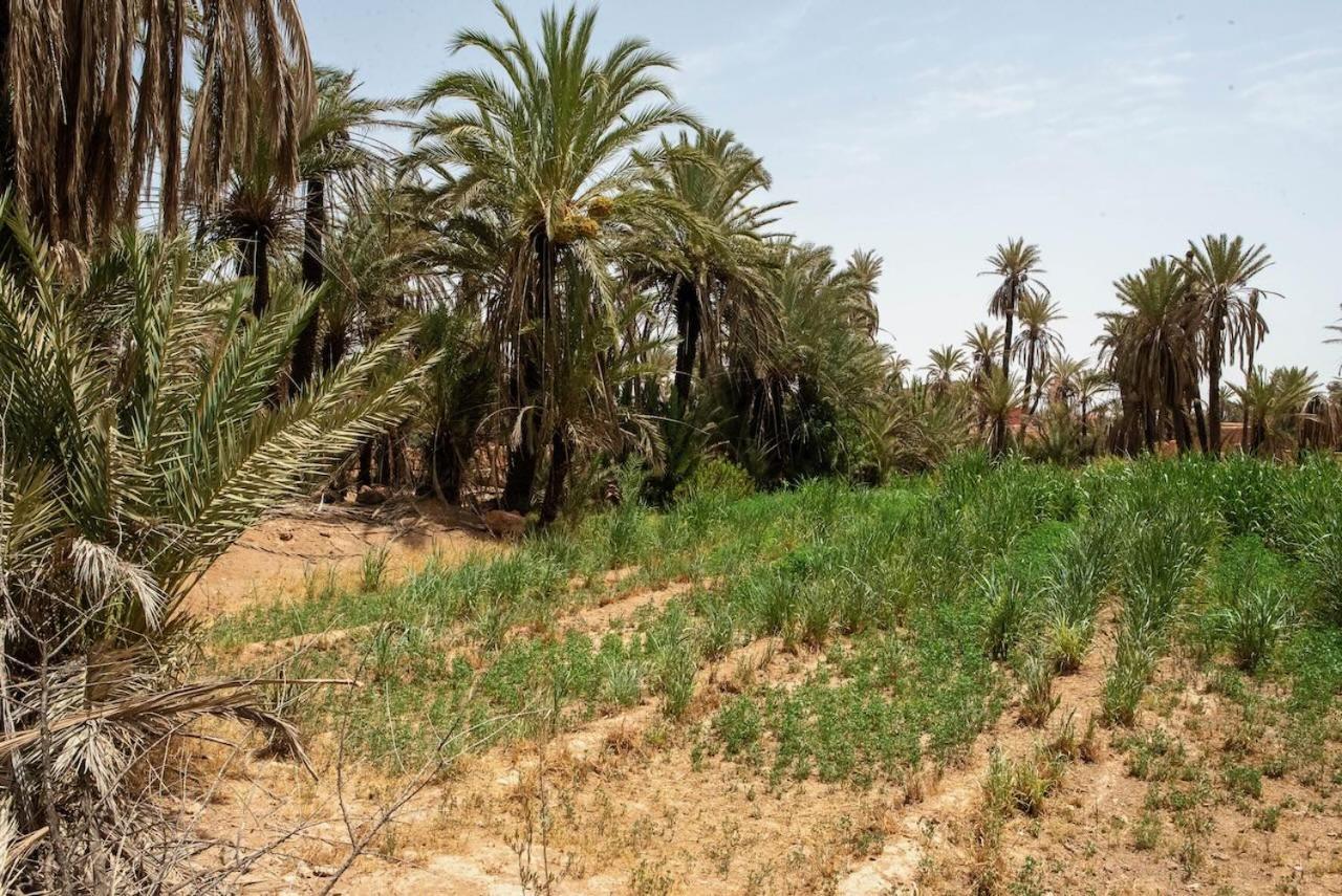 Maison Etoile Du Desert Aït Boukha Eksteriør bilde