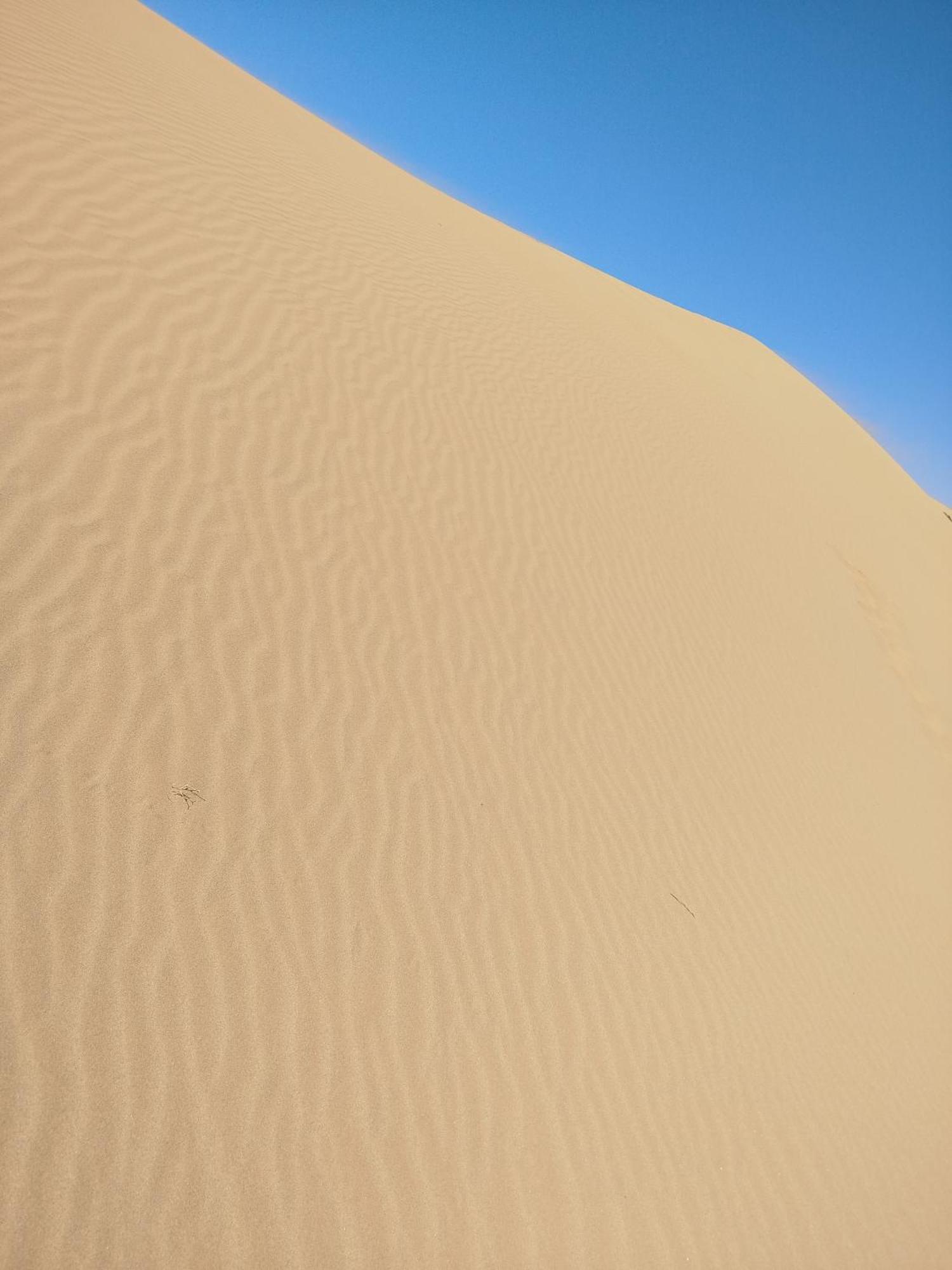 Maison Etoile Du Desert Aït Boukha Eksteriør bilde